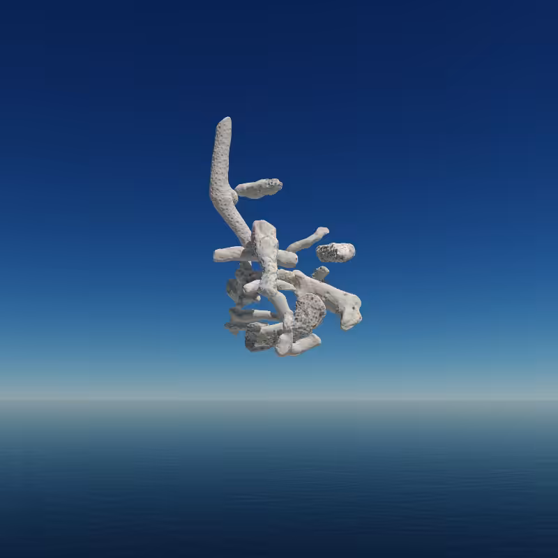 Bone Work (Gulf of Mexico) 2022 #80