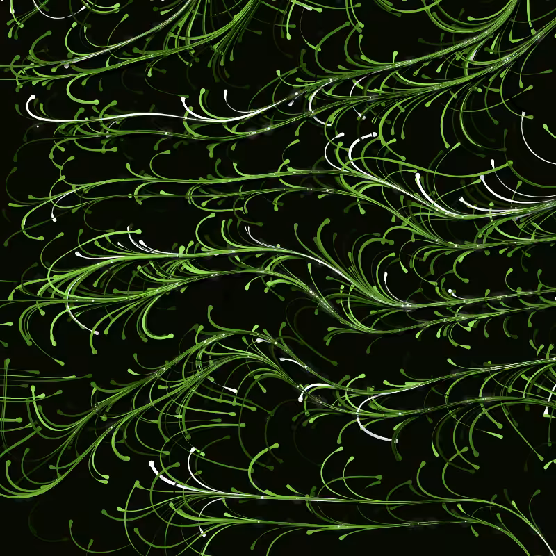 VINES #81