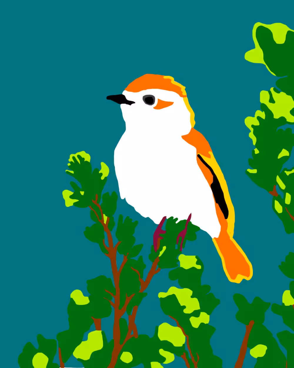 Le petit oiseau