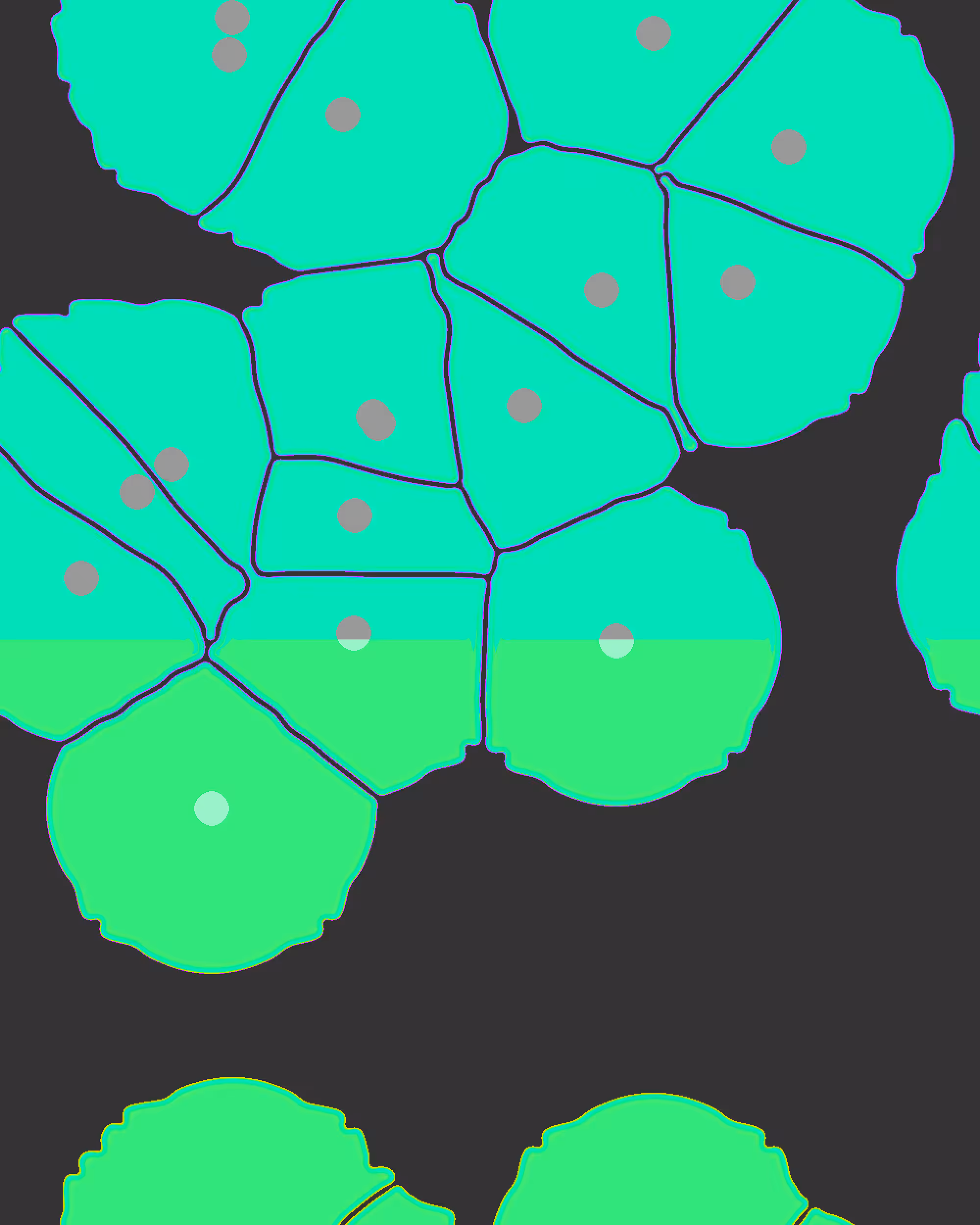 Turing Test #235