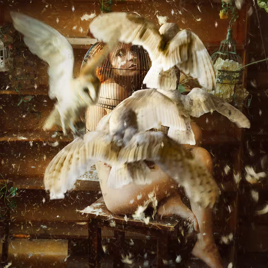 Bird №2