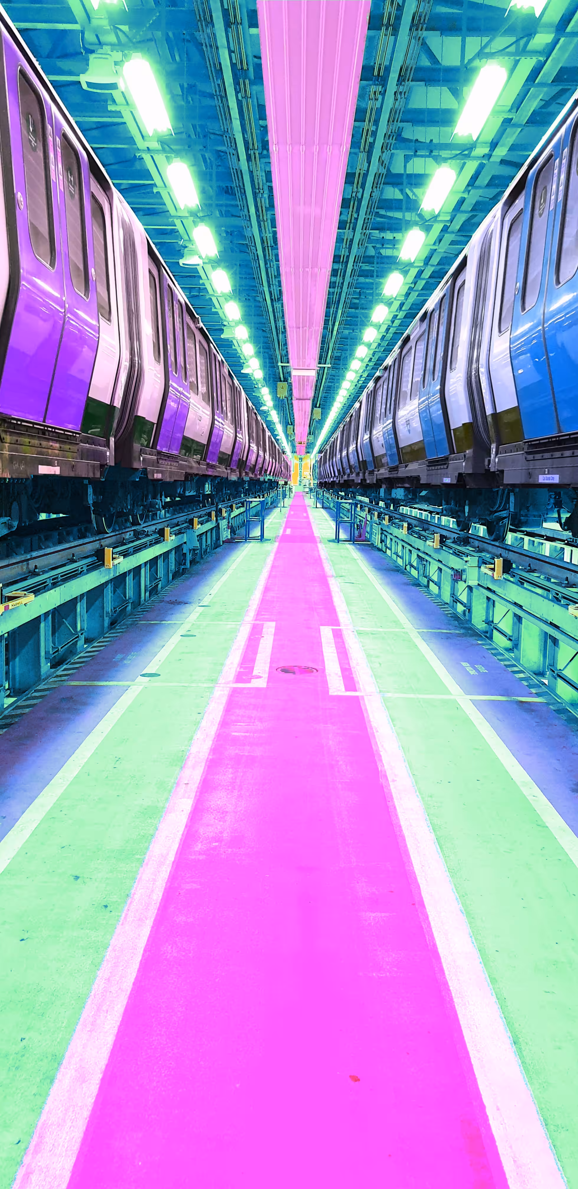 Rebirth of colour
