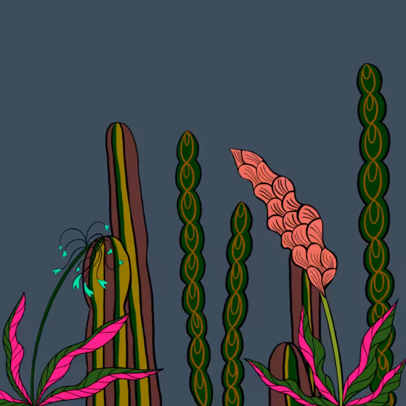Desert Exuberance #10