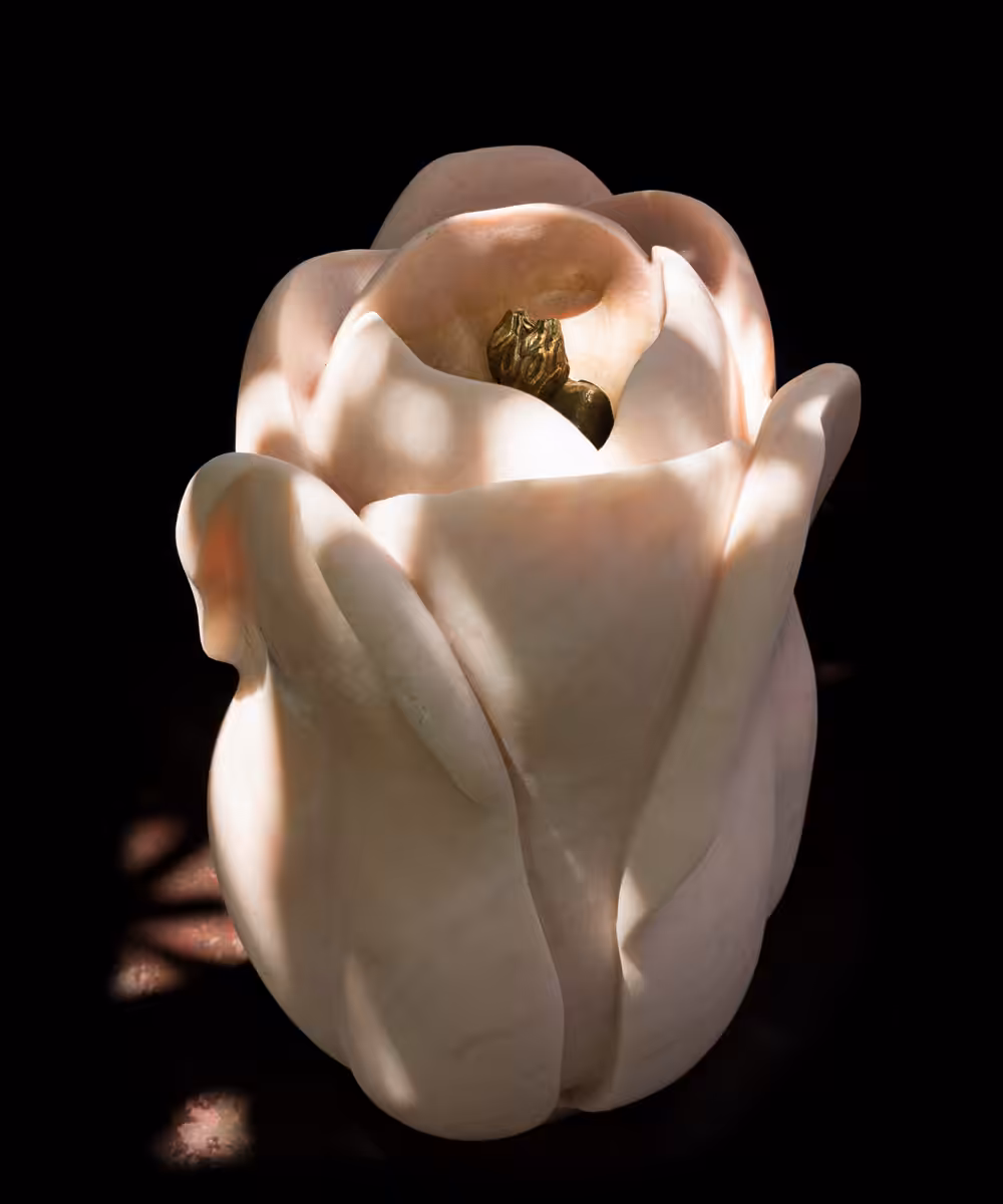FLOR