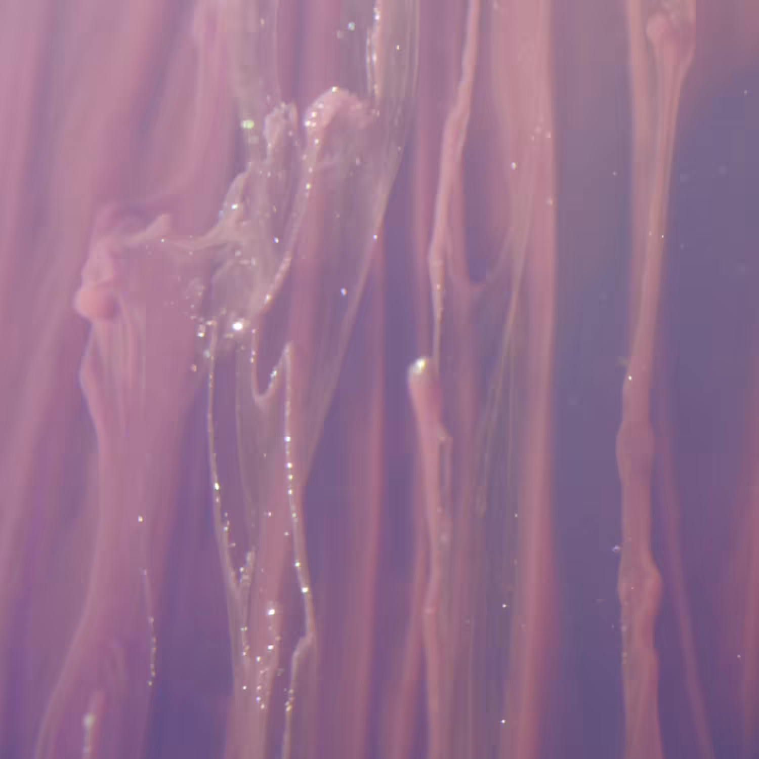 018