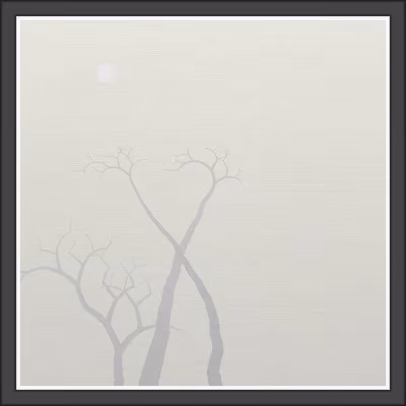 The Foggy Trees #135
