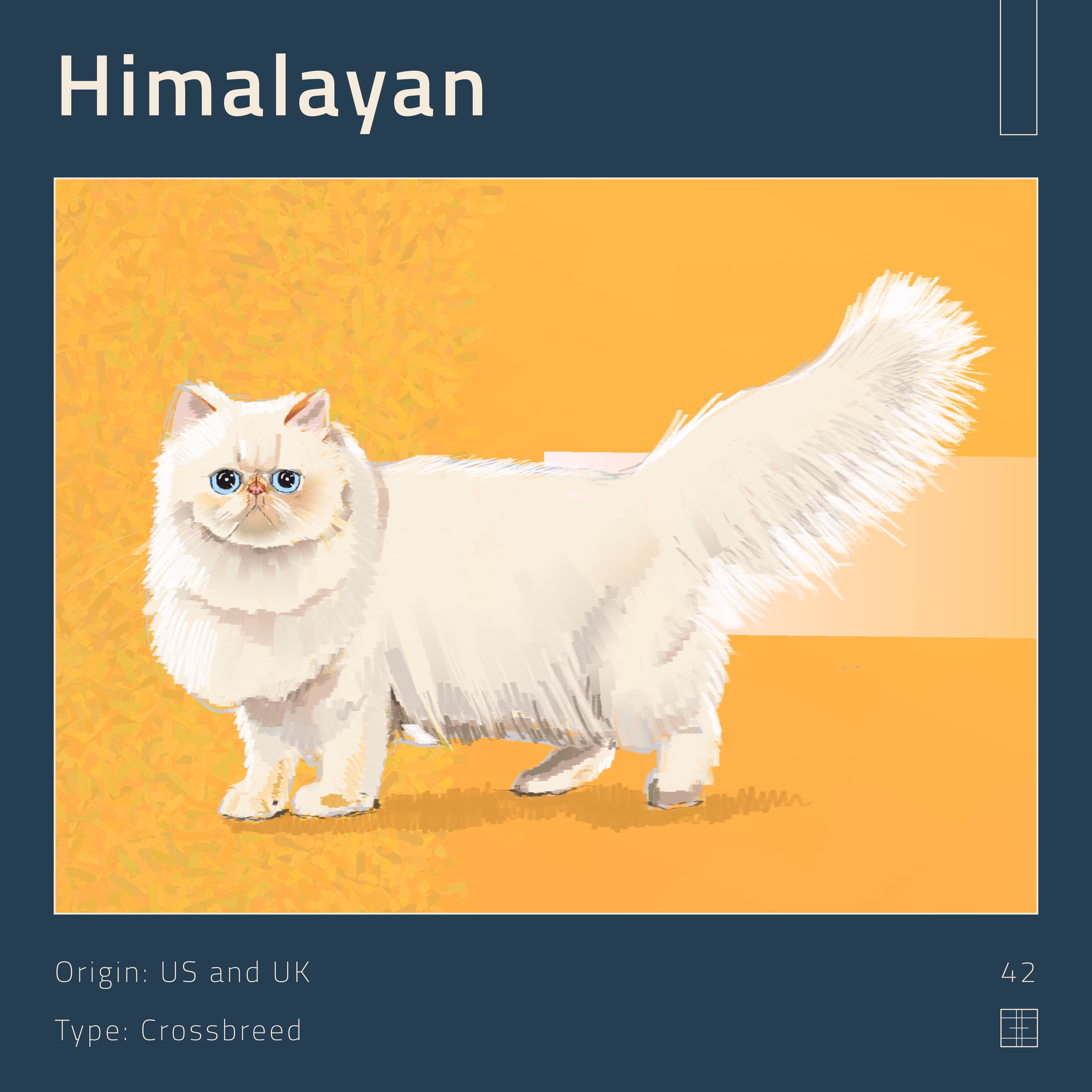 42 – Himalayan