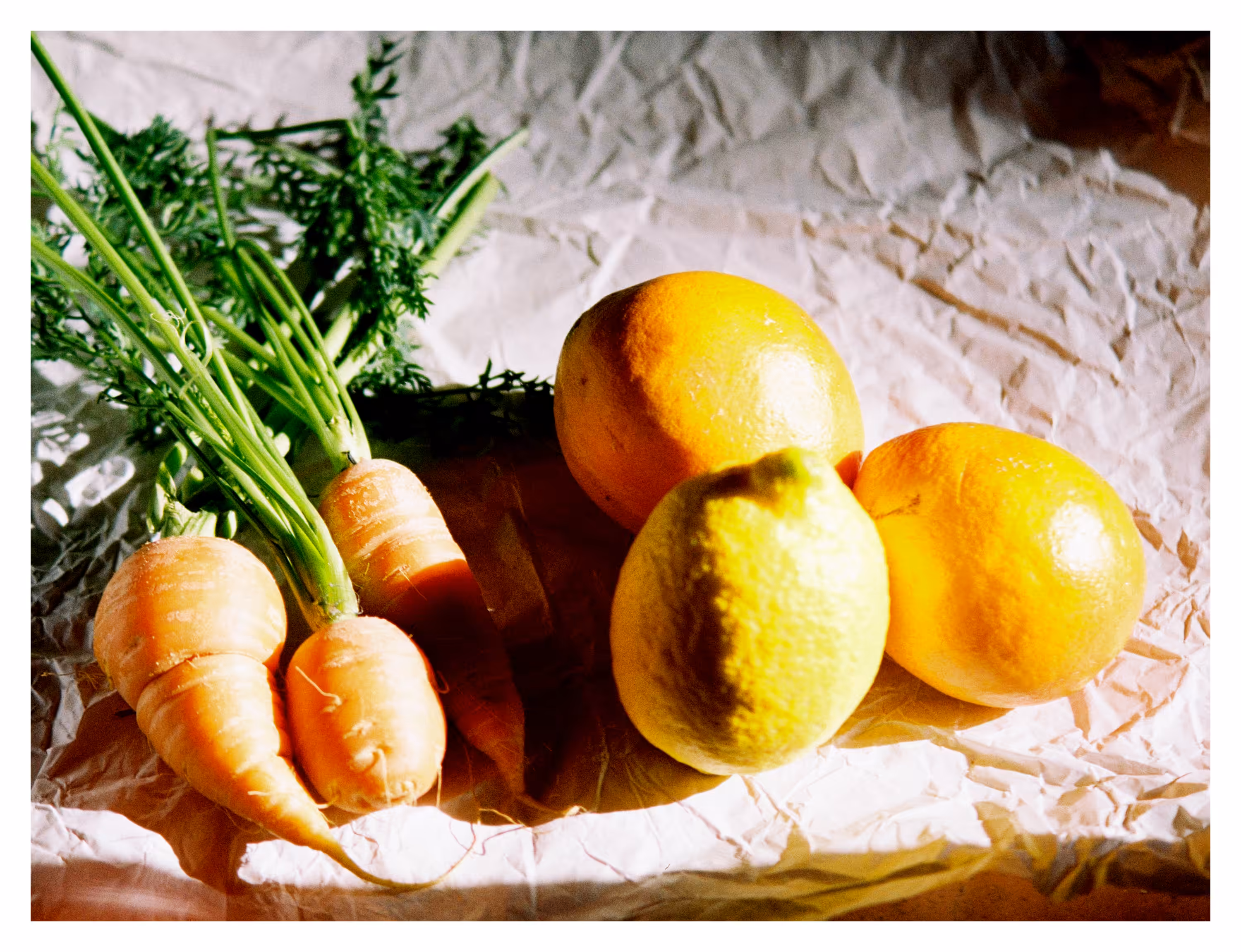 Three Carrots, Two Oranges, One Lemon - Still Life