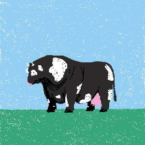 cow #62