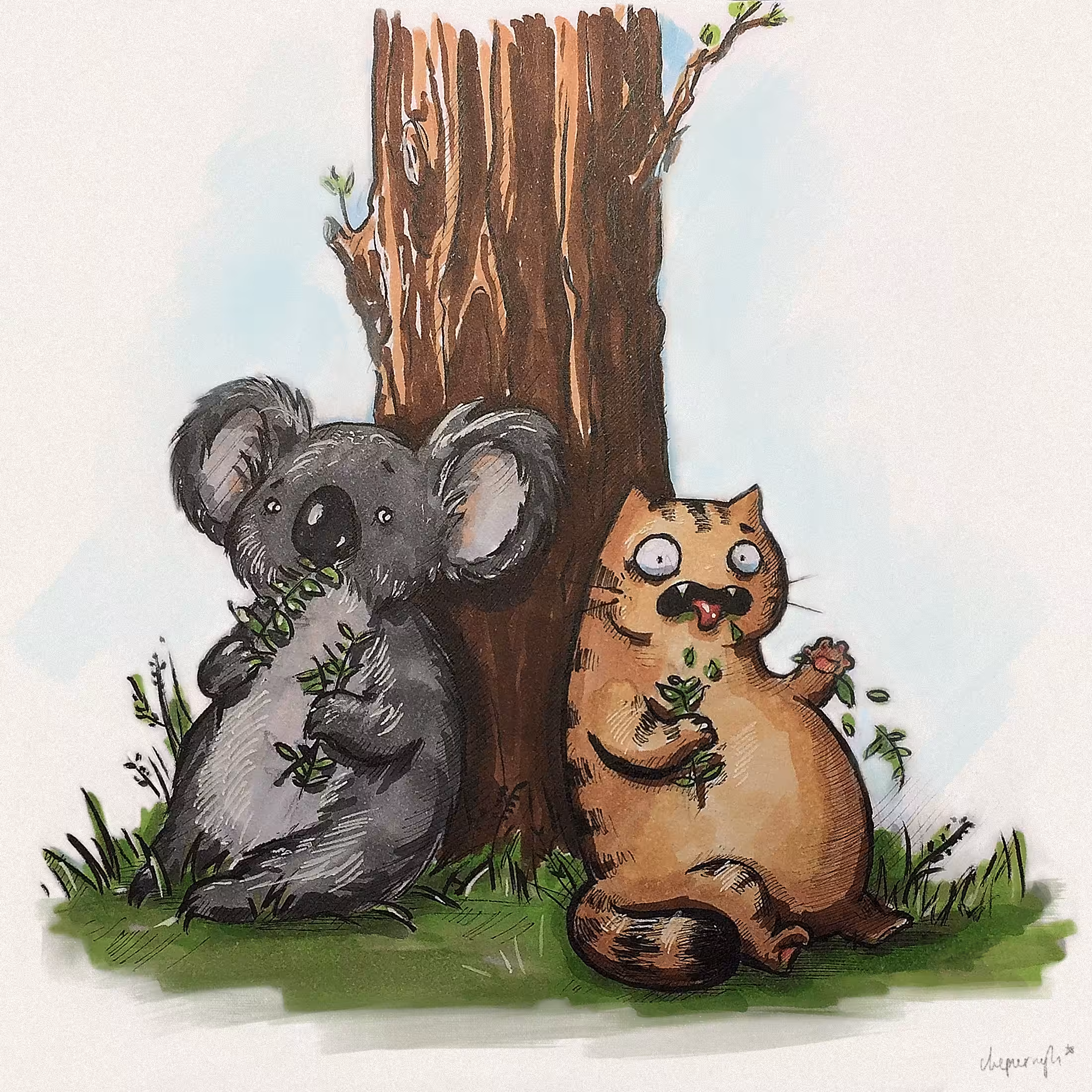 Koala Kuisine