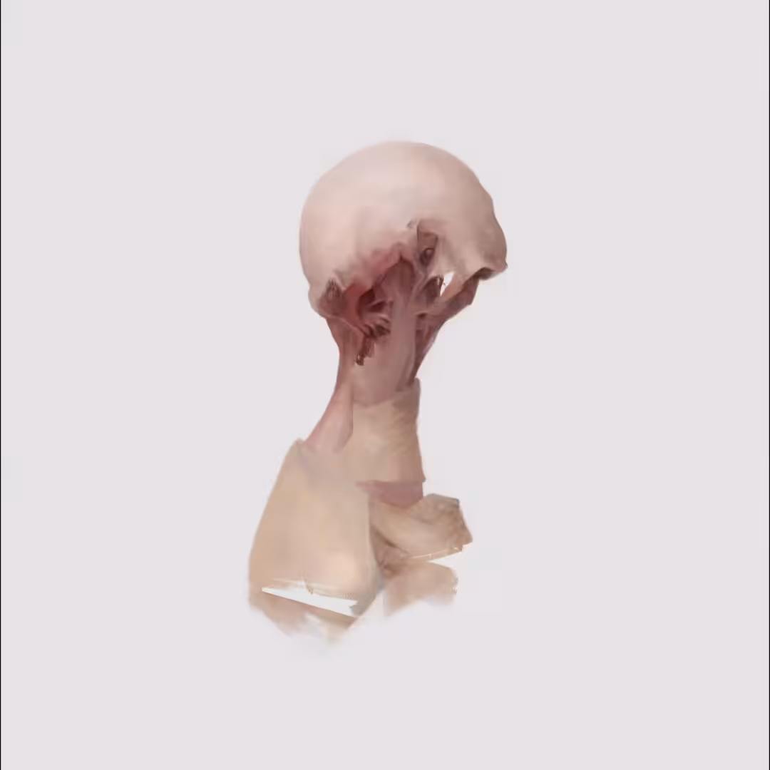 stage 3 proliferation