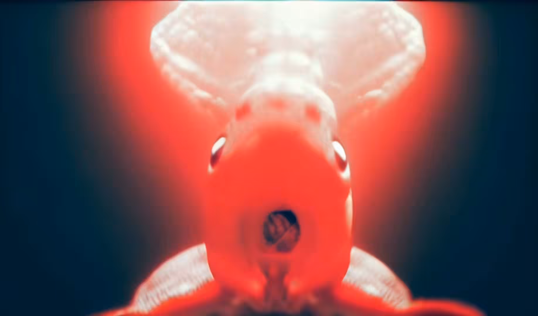 Zane Austin - The Deep