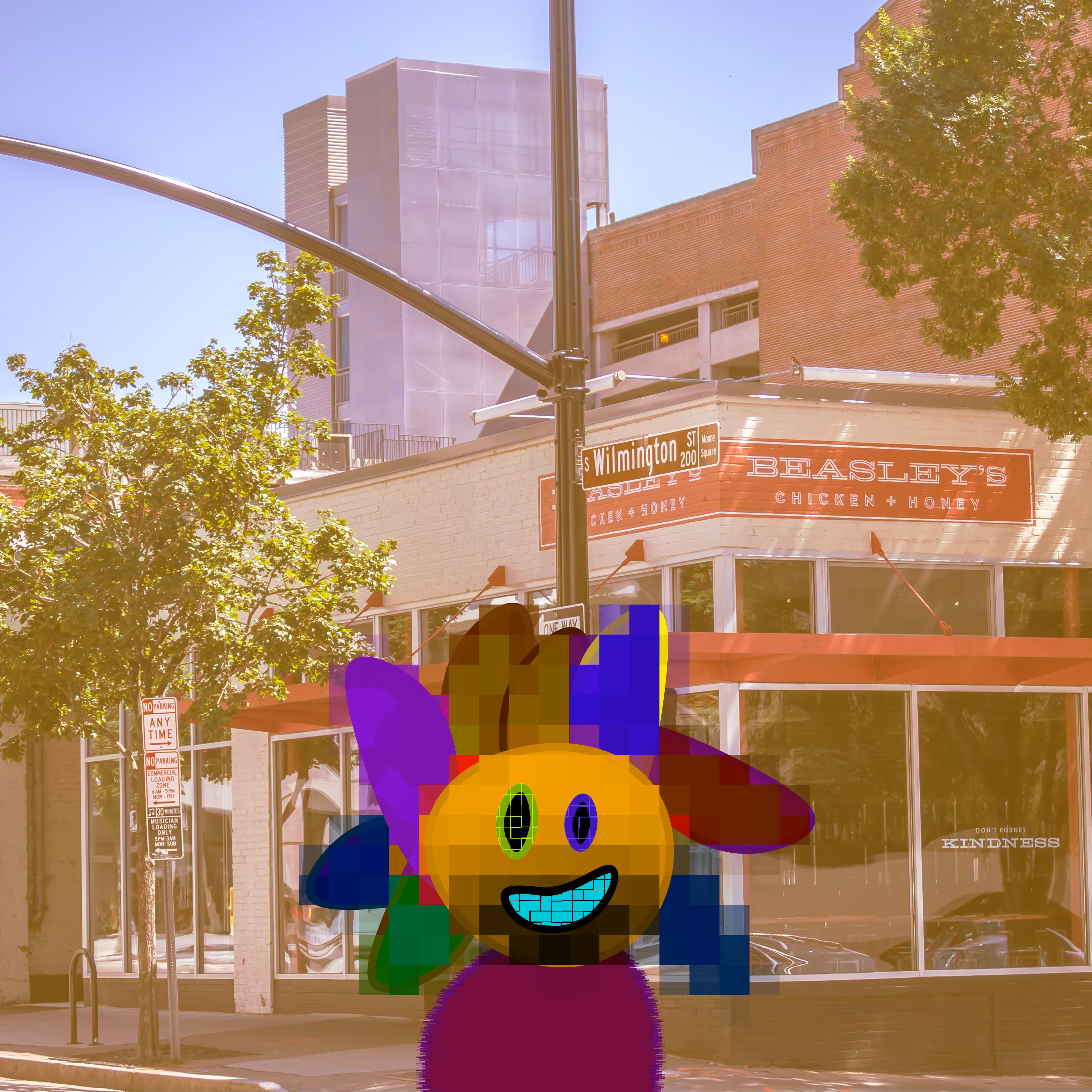 The Sunny1's Downtown Raleigh NC