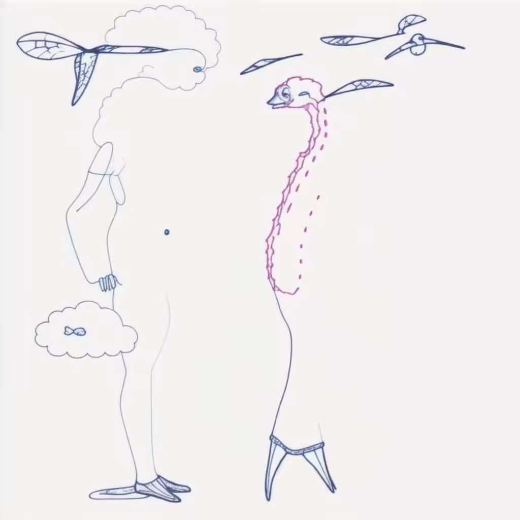 unnecessary but inevitable drawings