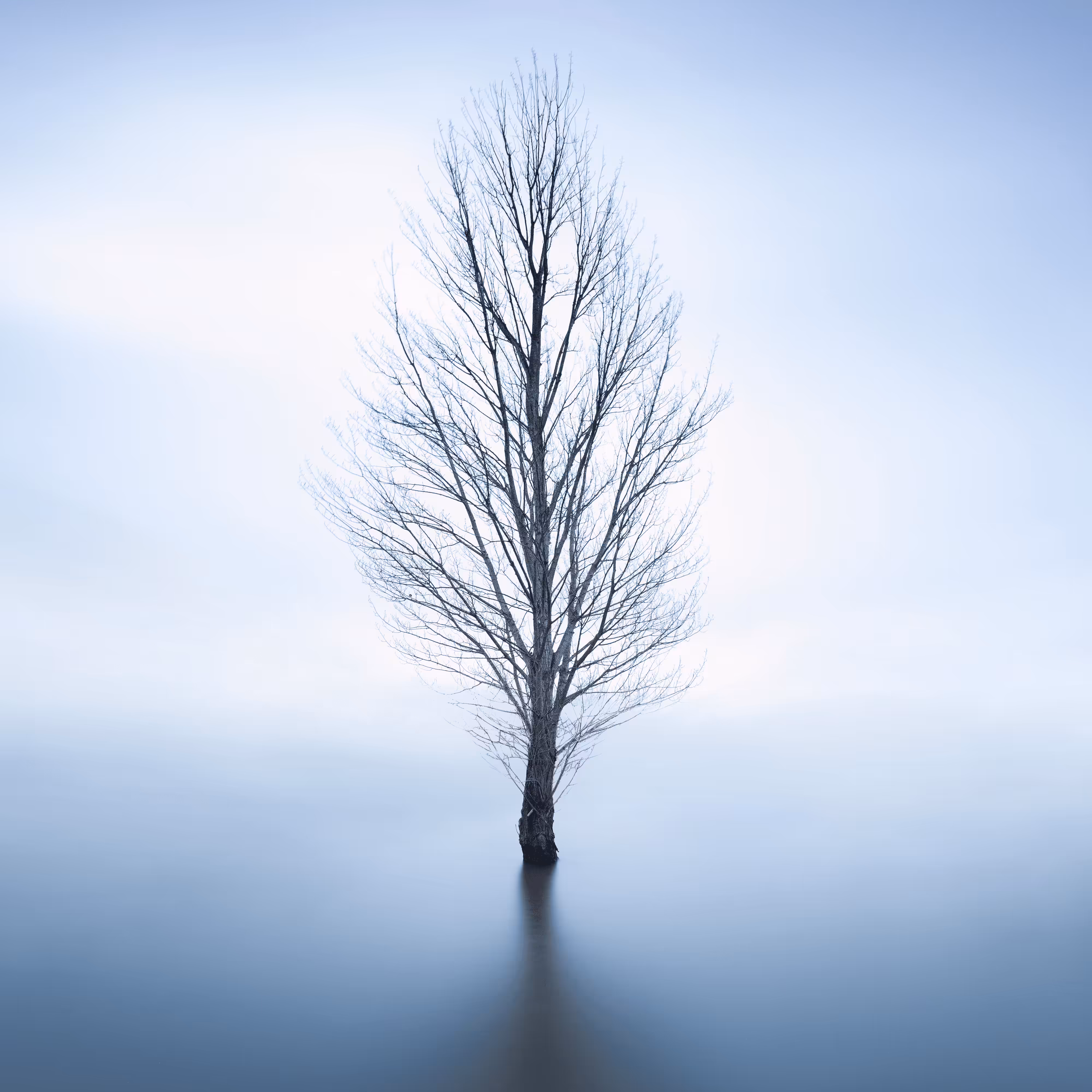 Alone