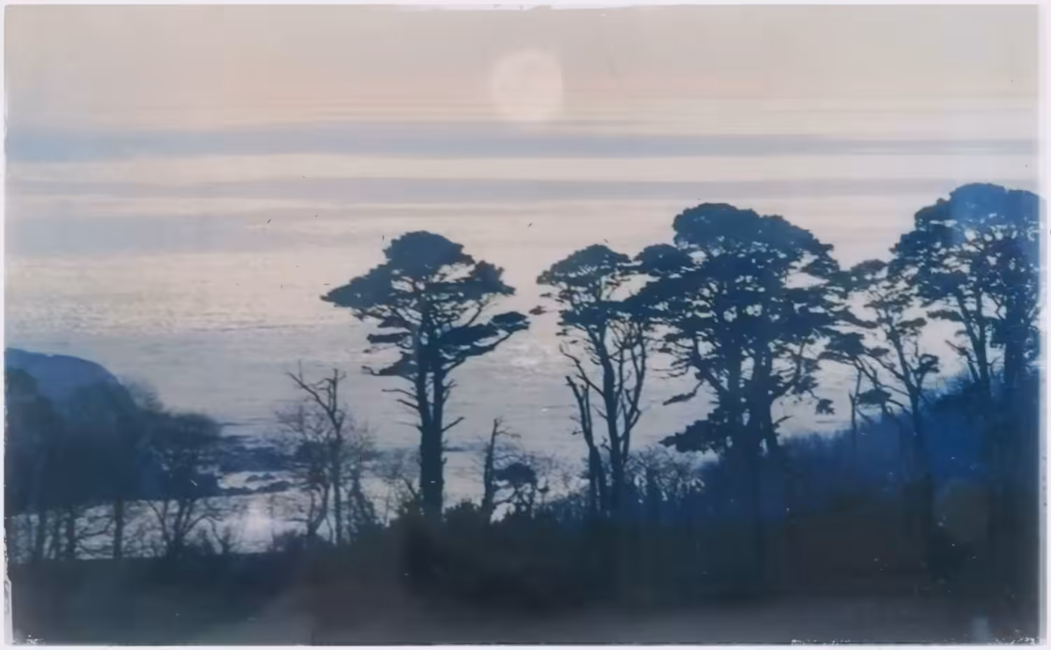 'beyond the dark pines'