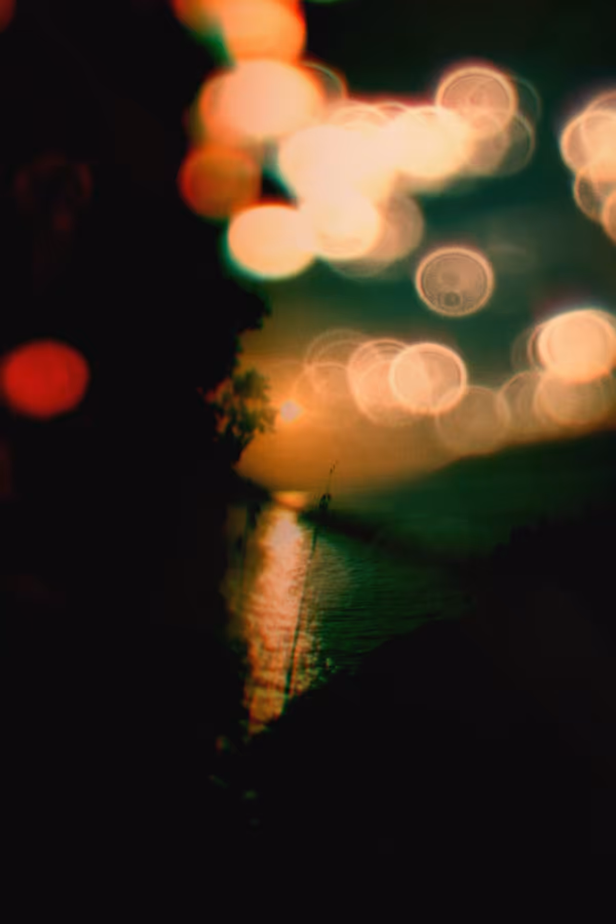 Diaries #24