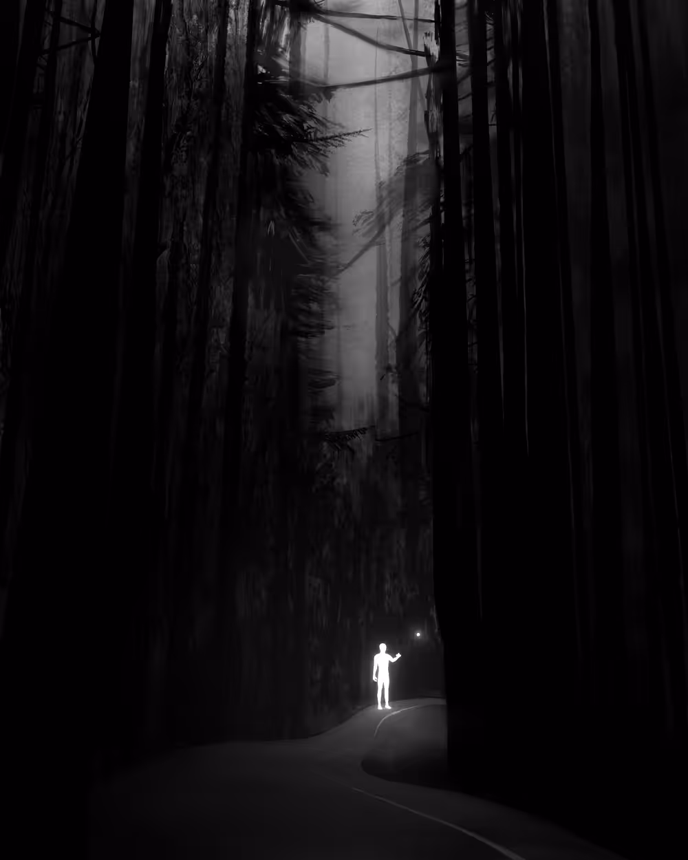 The Black Screen