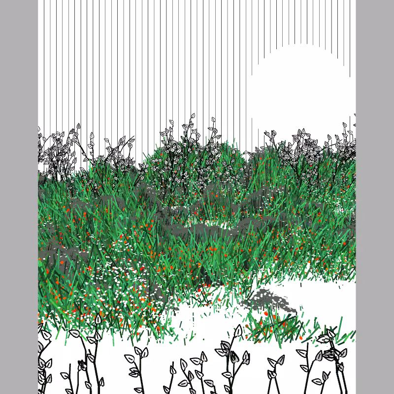 Contours #70