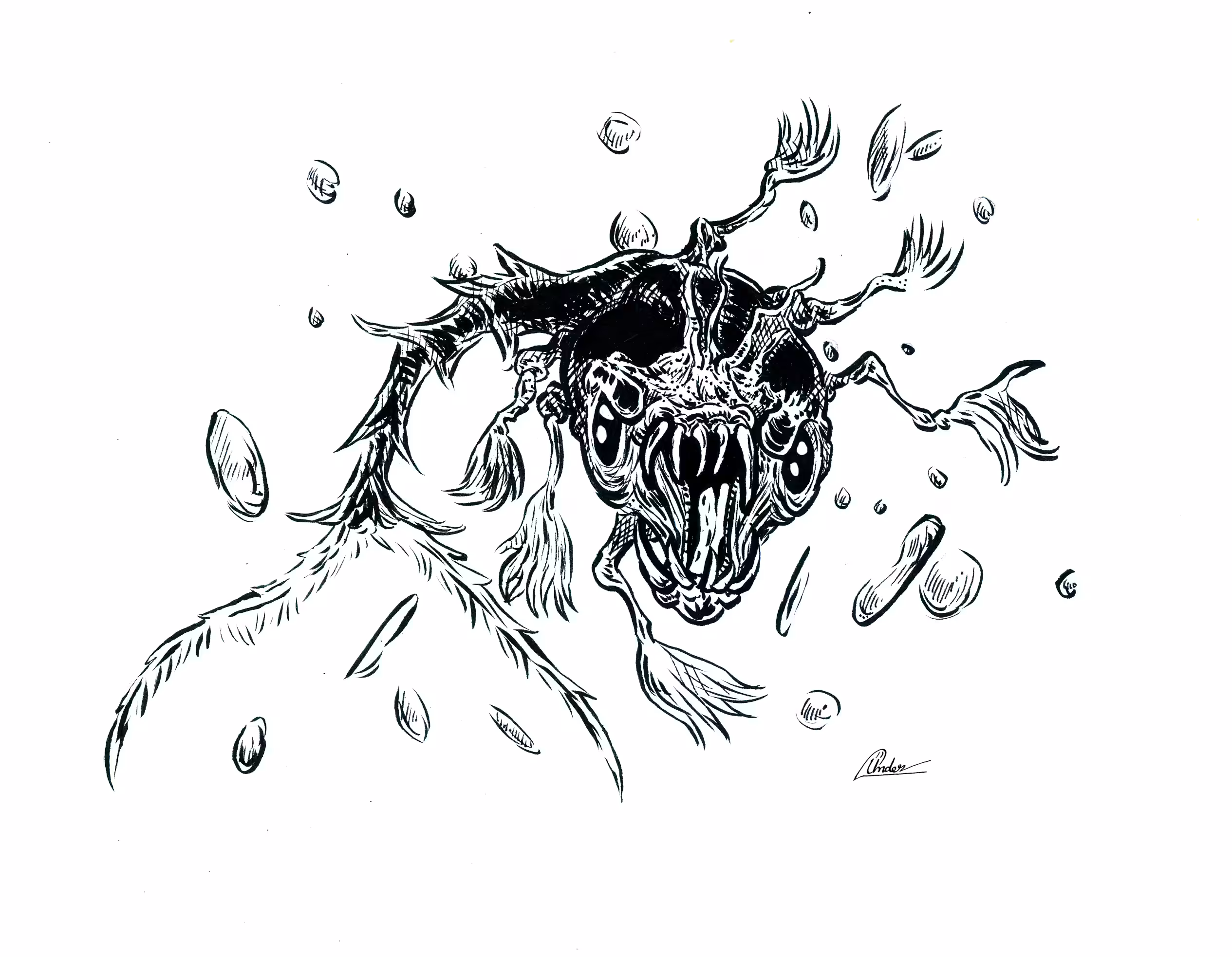Zooplankton