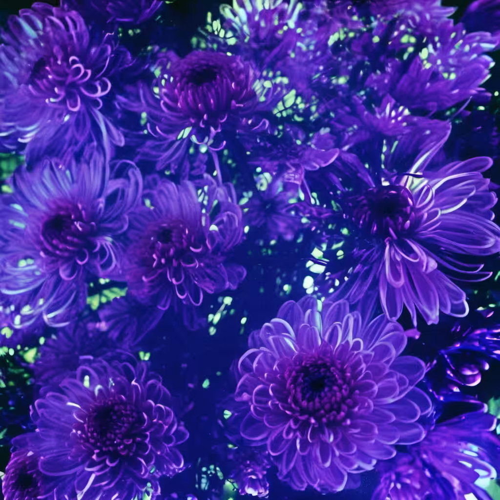 Bloom #14