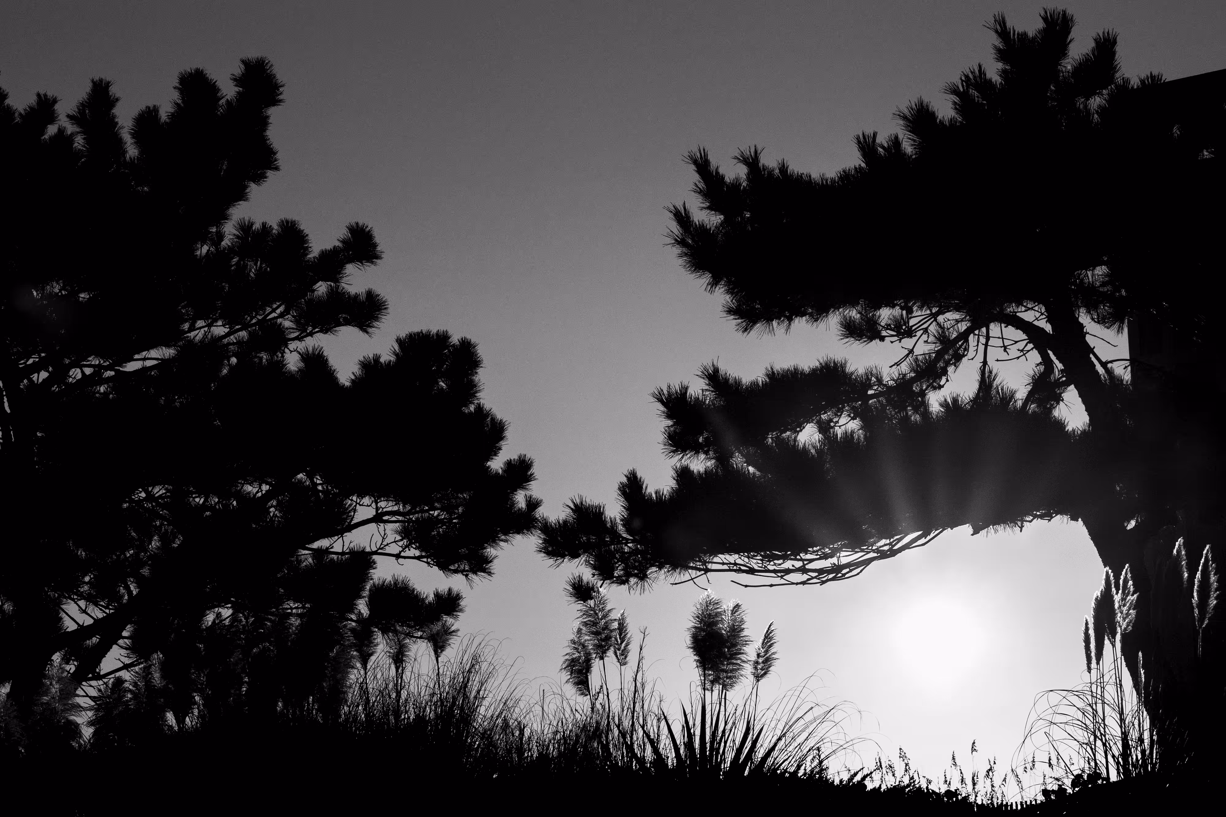 the peek #3