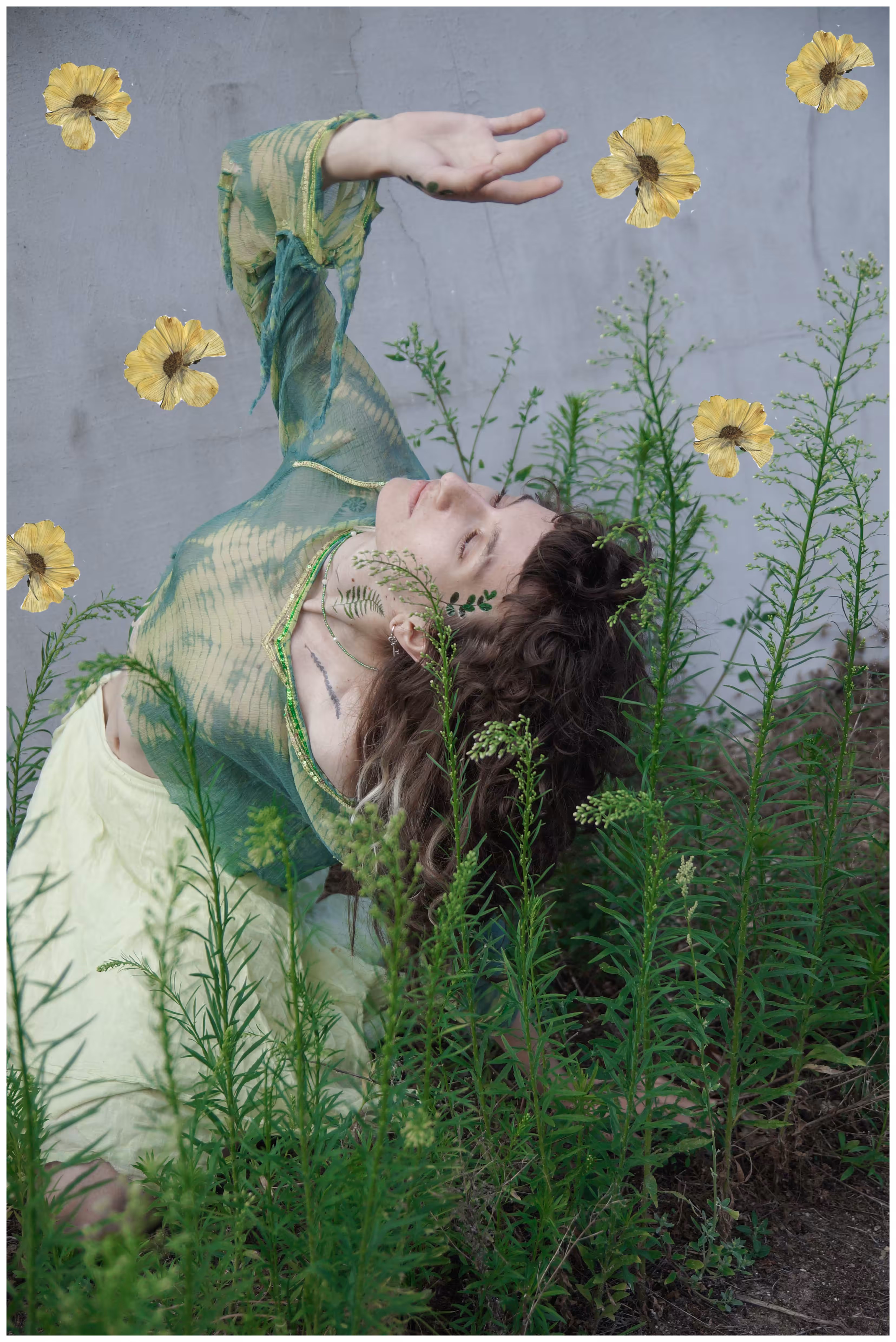 catching dried flowers 