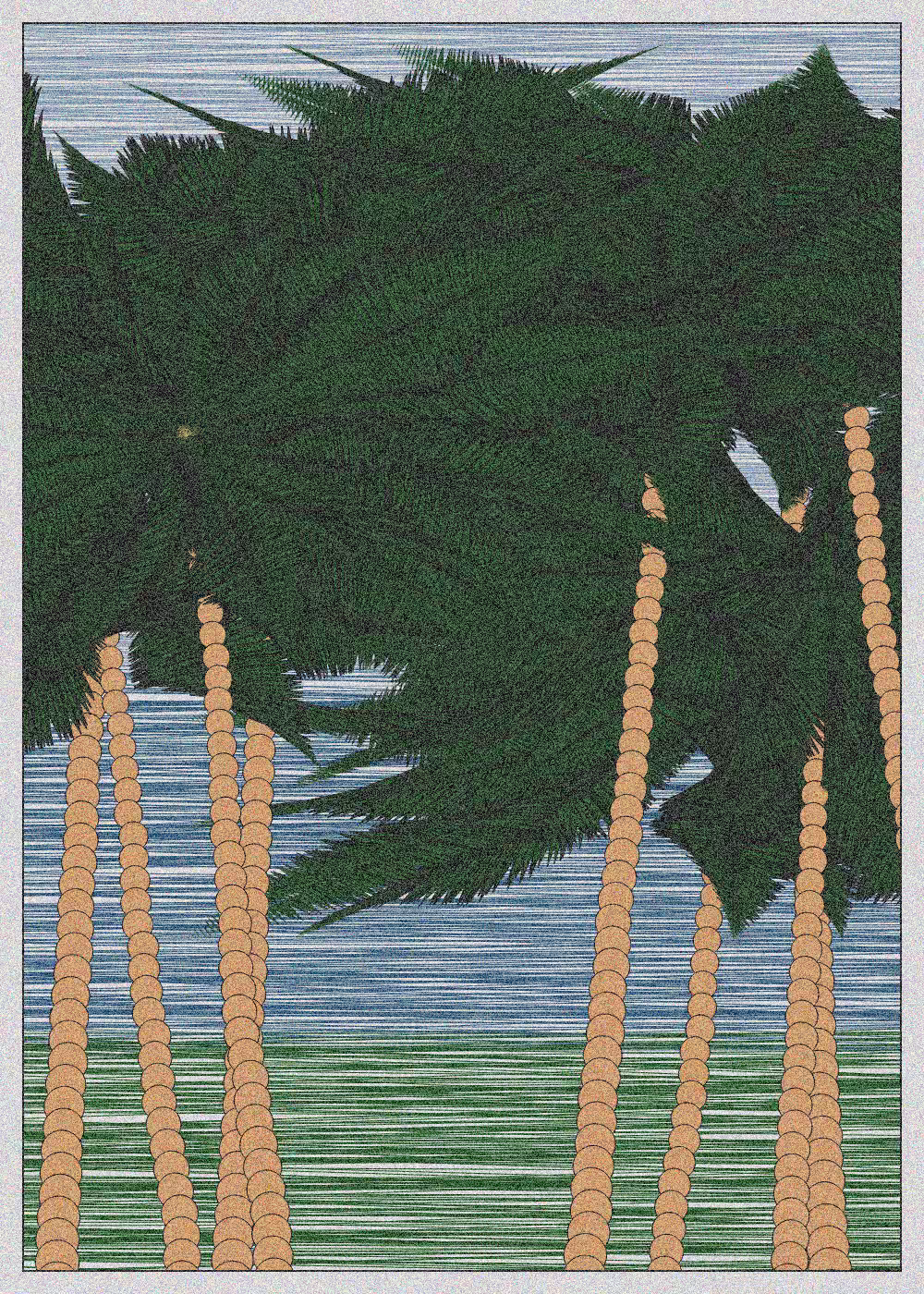 Hawaii #15