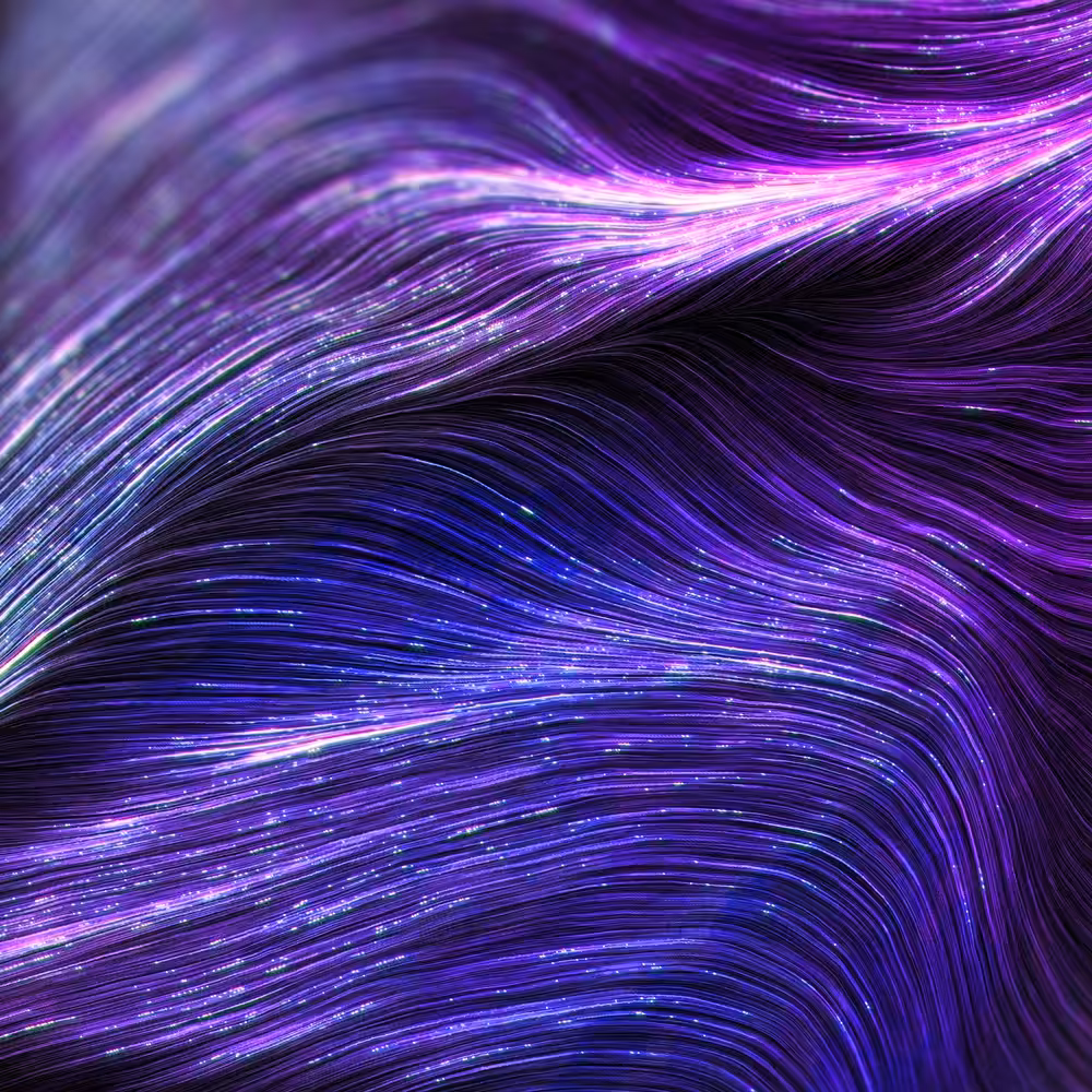 PURPLE DECISION