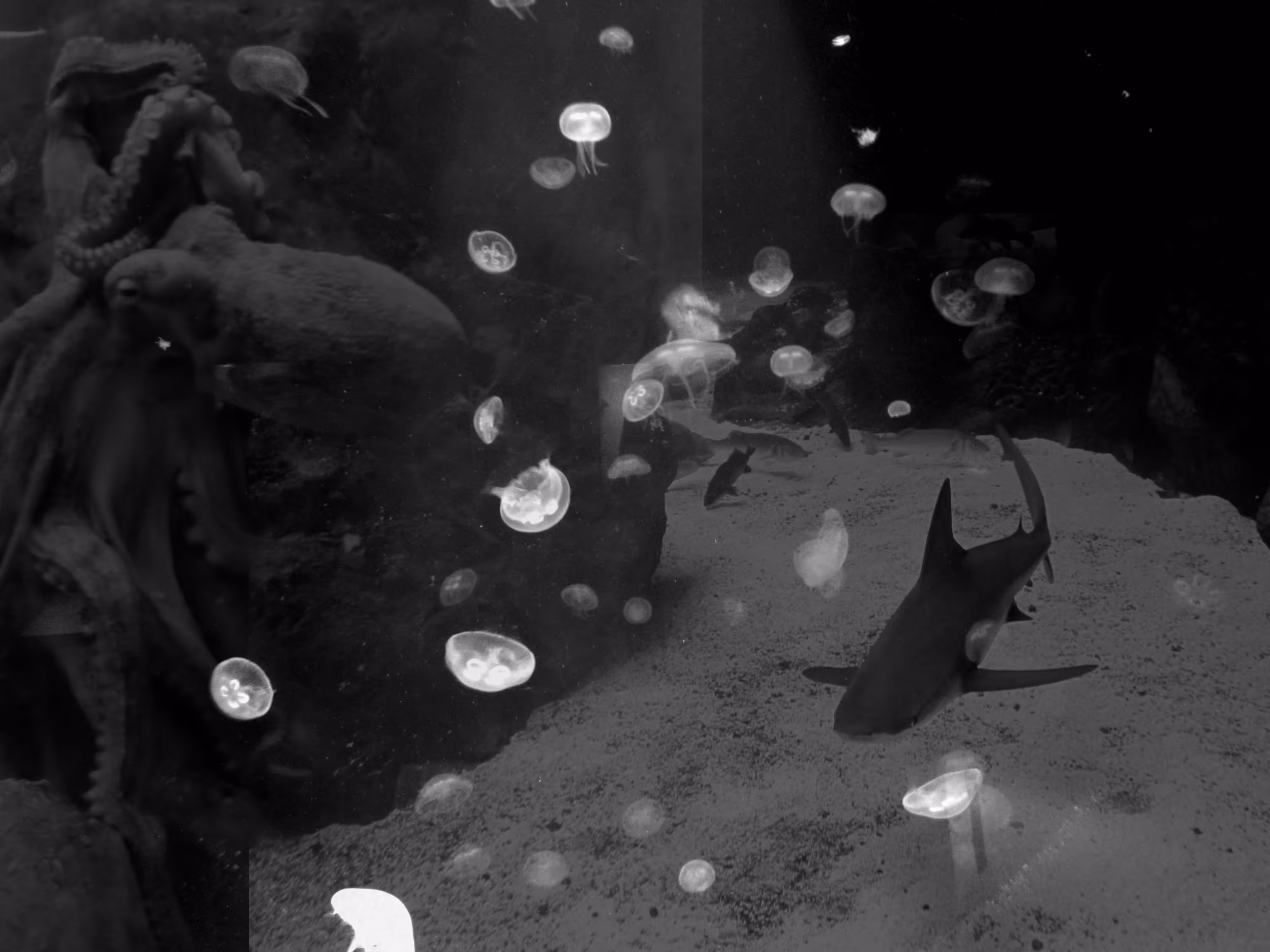 What lies beneath!
