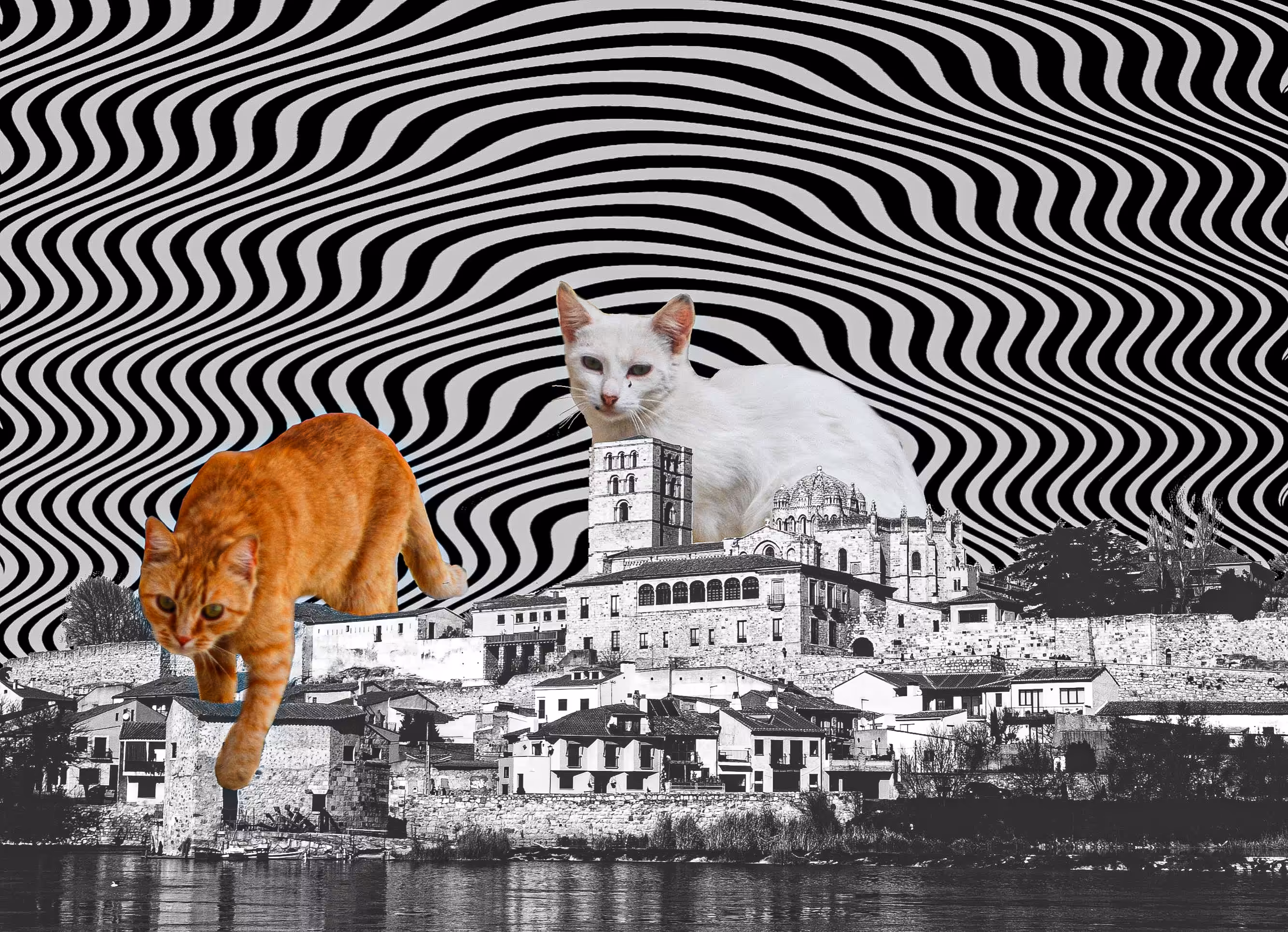 KatMania