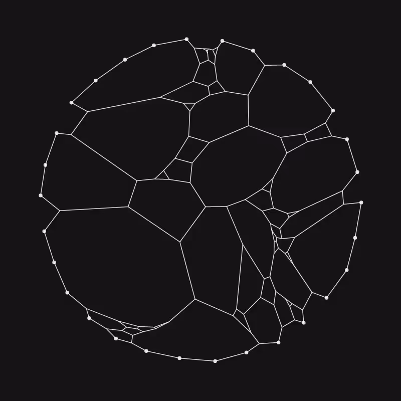Elastic Web #26
