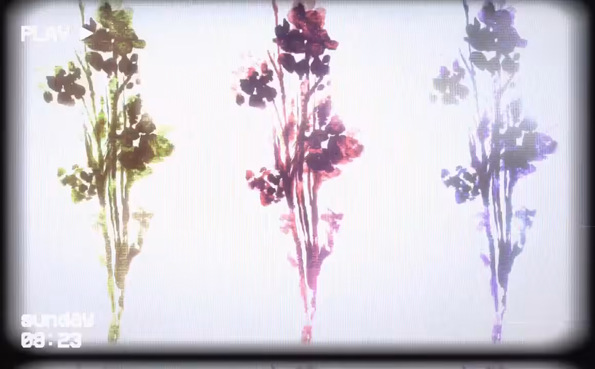 Rose Tinted Tunes