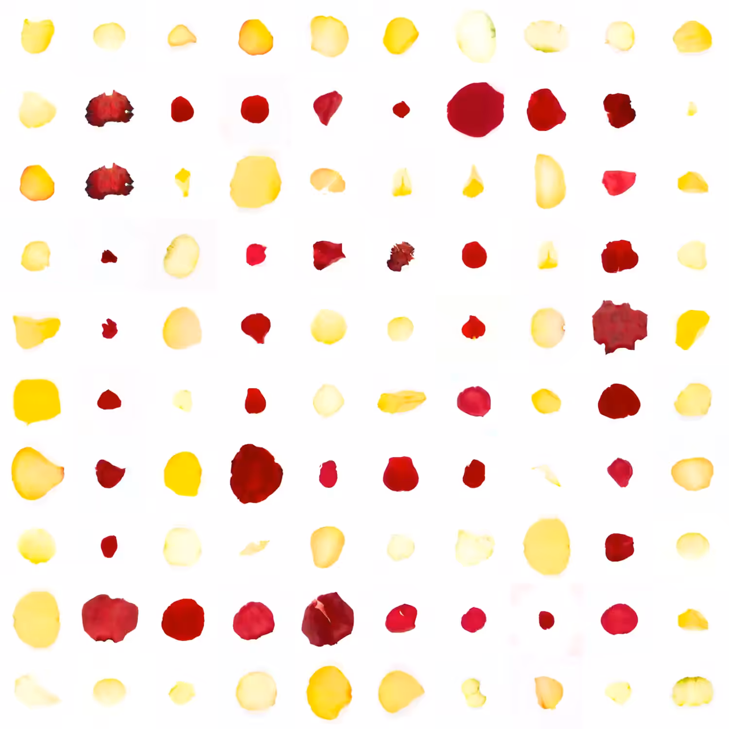 Infinite Petals 10x10#482