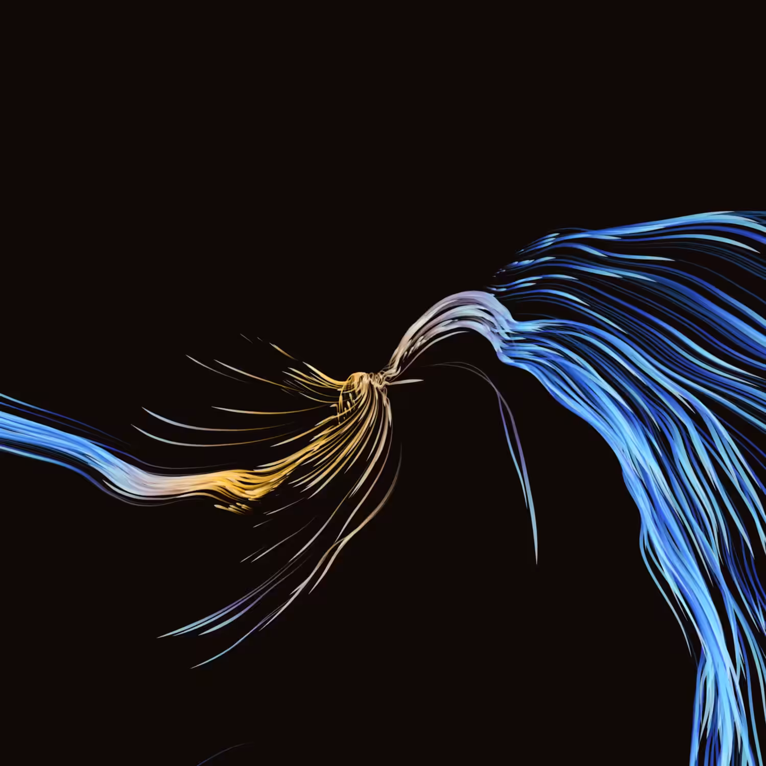 Vortex