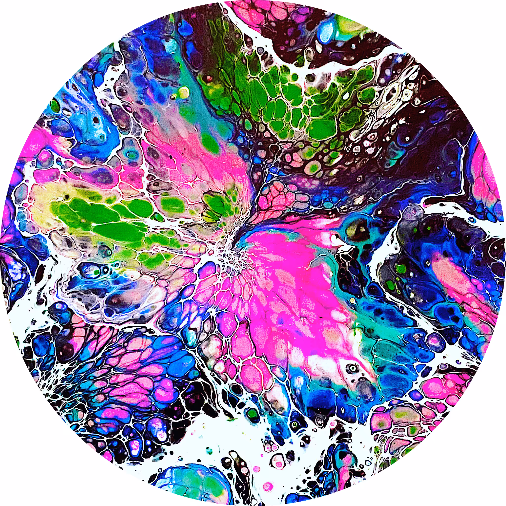 Abstract Butterfly Beauty