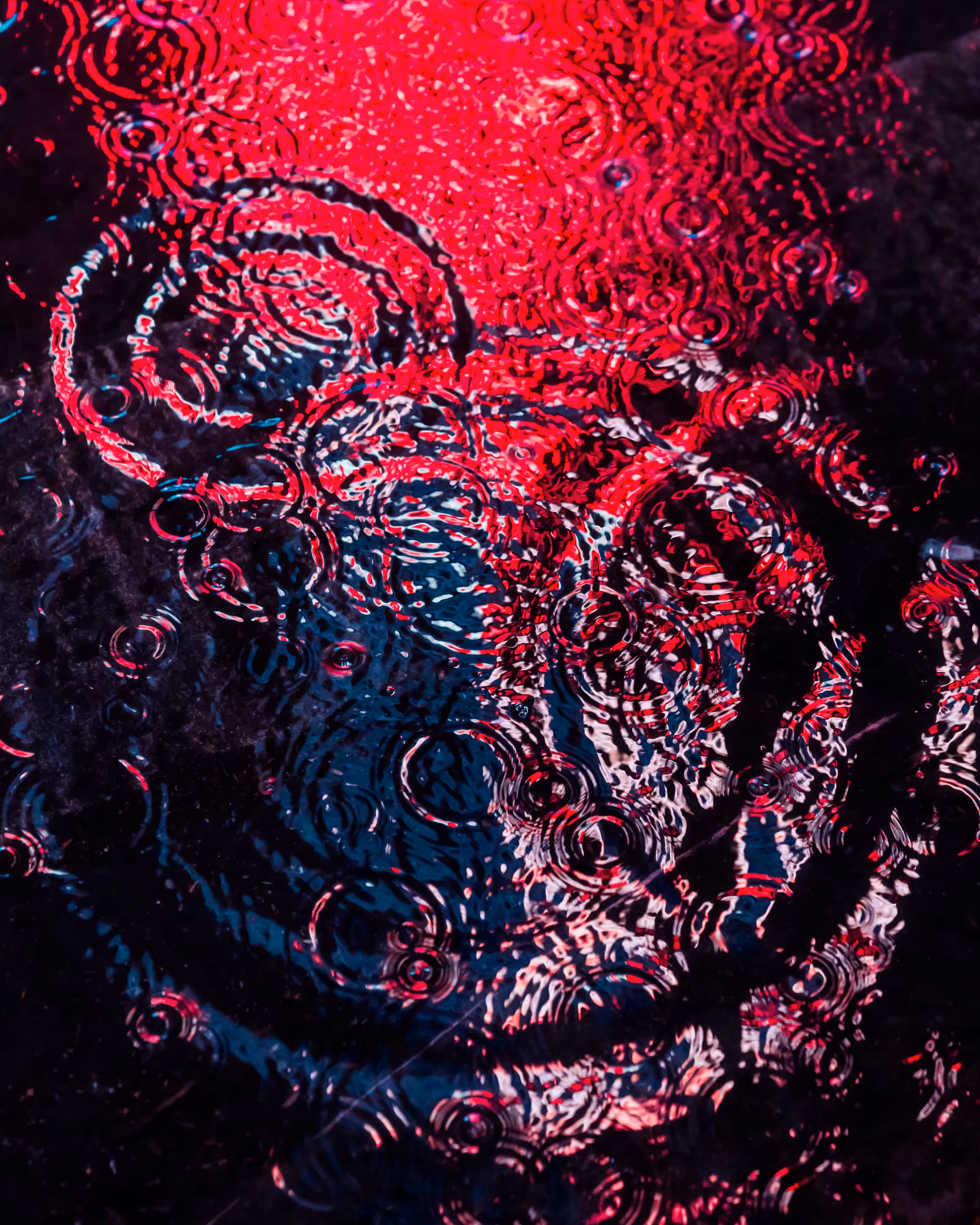 DRIP DROP: DRIP #595