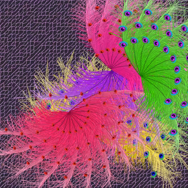 Oriental Peafowl Impression #2