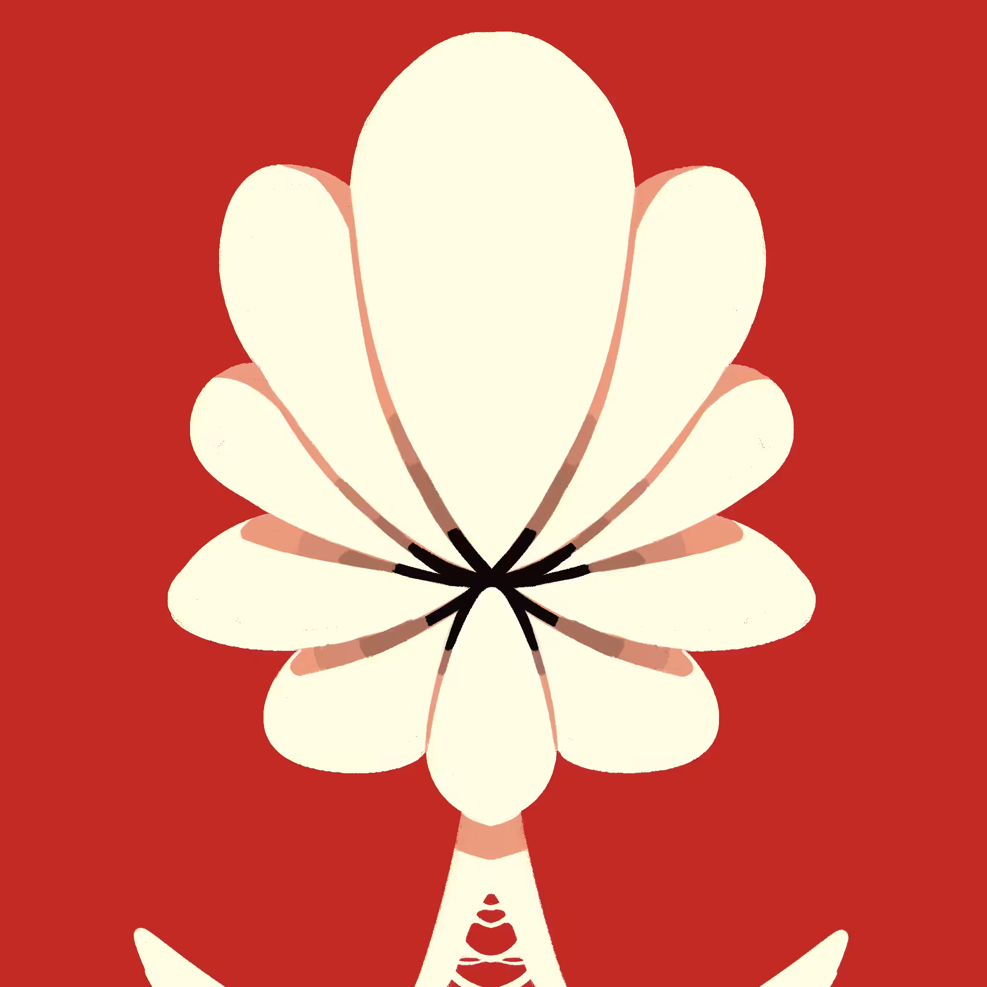 Servant #05