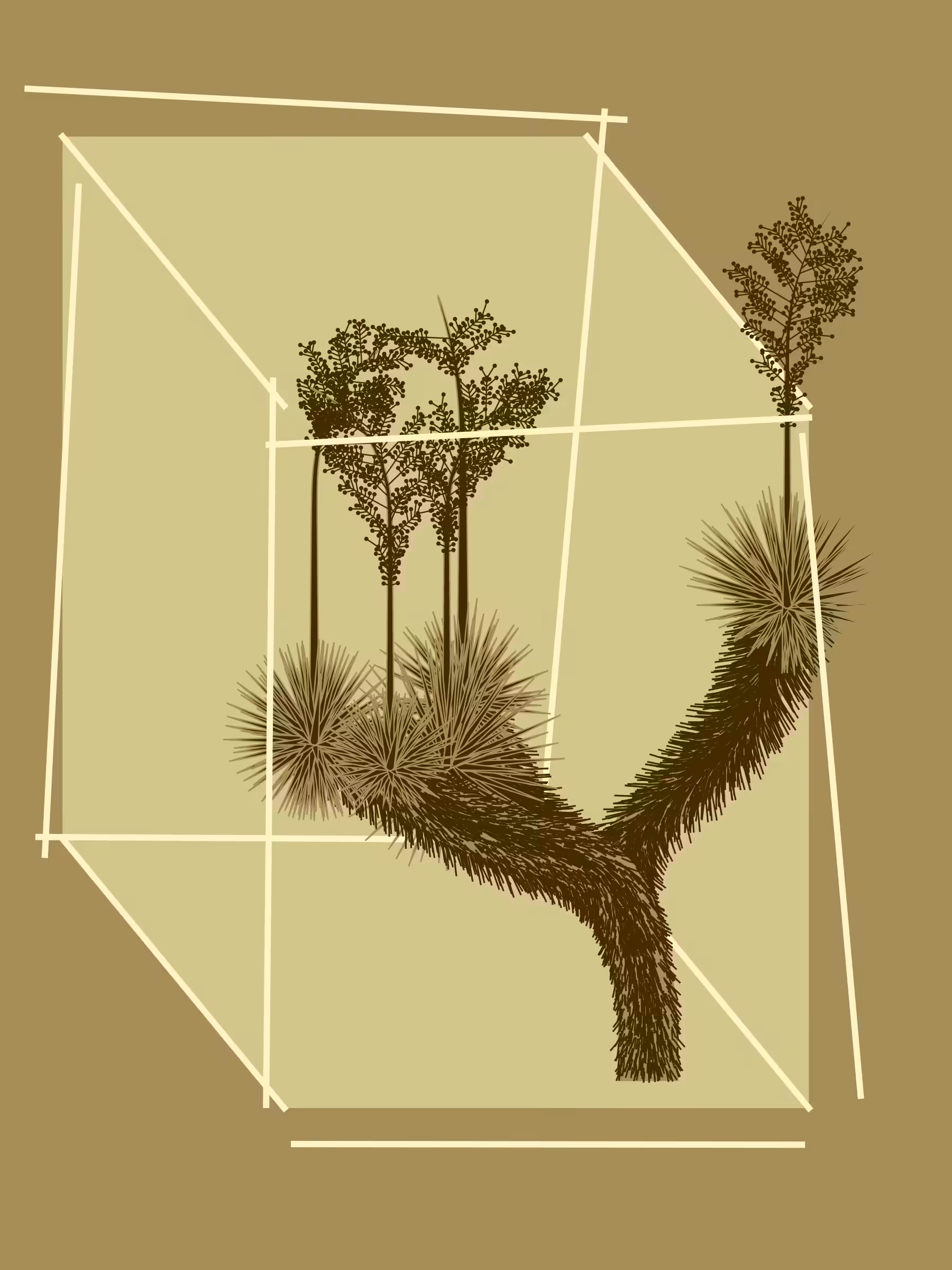 Marfa Yucca #136