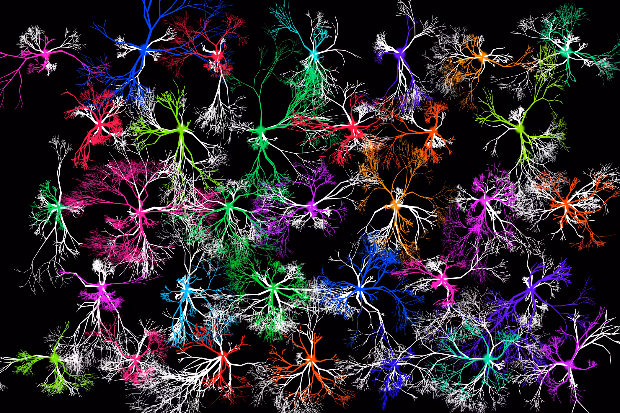 Phuz Tessellation #6
