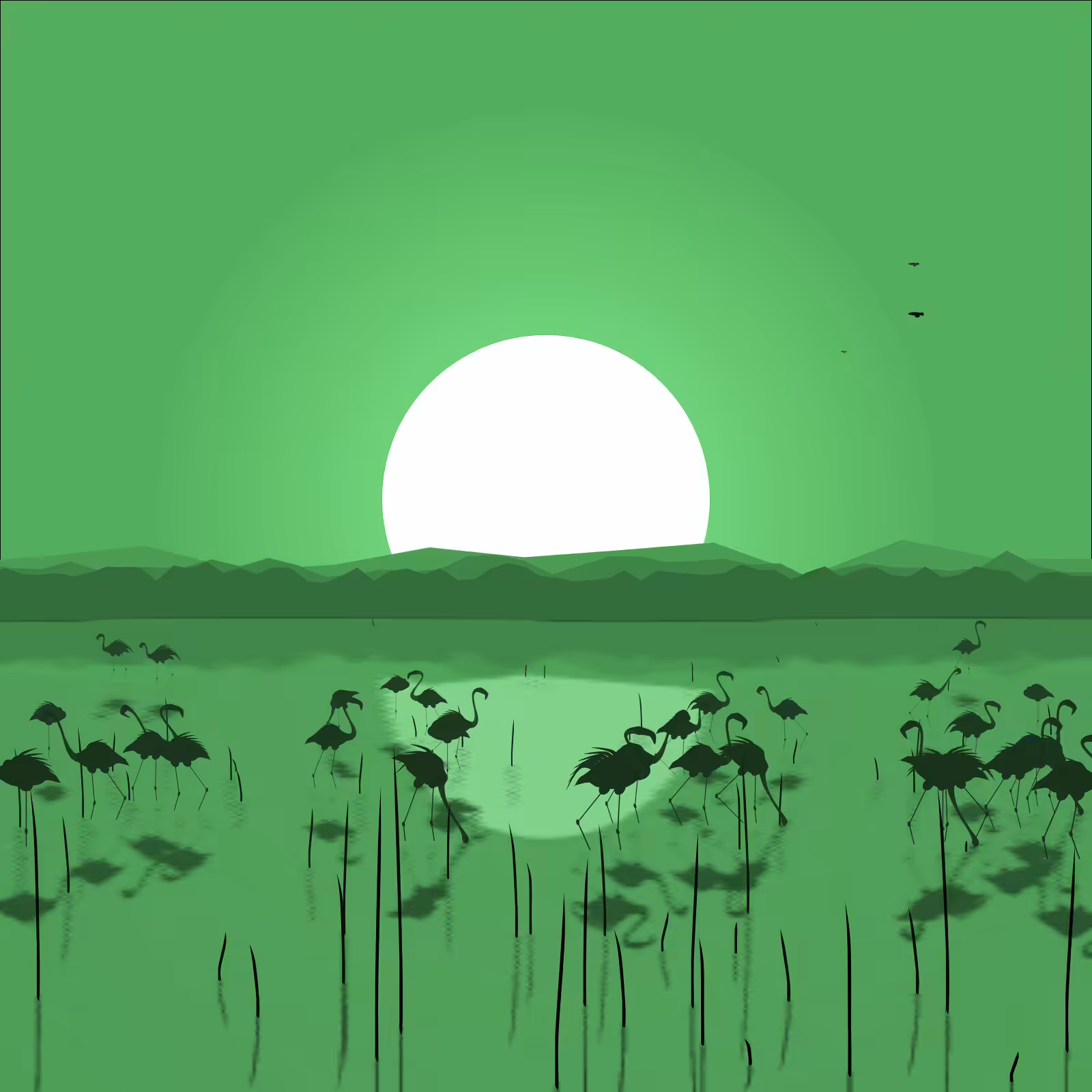 Flamingo Delta #21