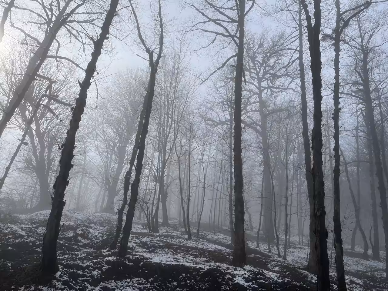 Snowy ground