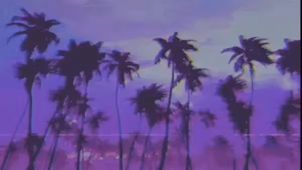 I dreamed of old palm trees