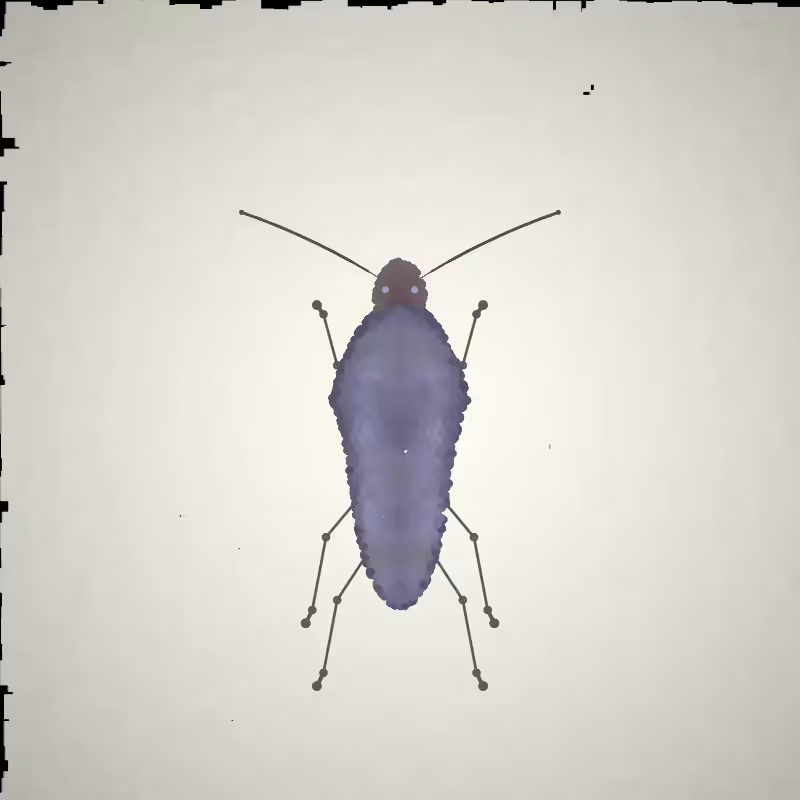 Beetle Sketches #2