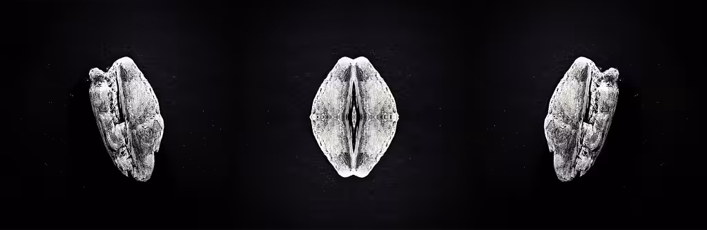 Drifting Remains 1.1