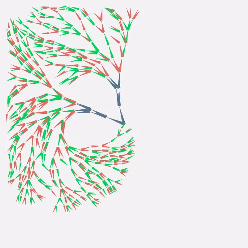 Foliage #50
