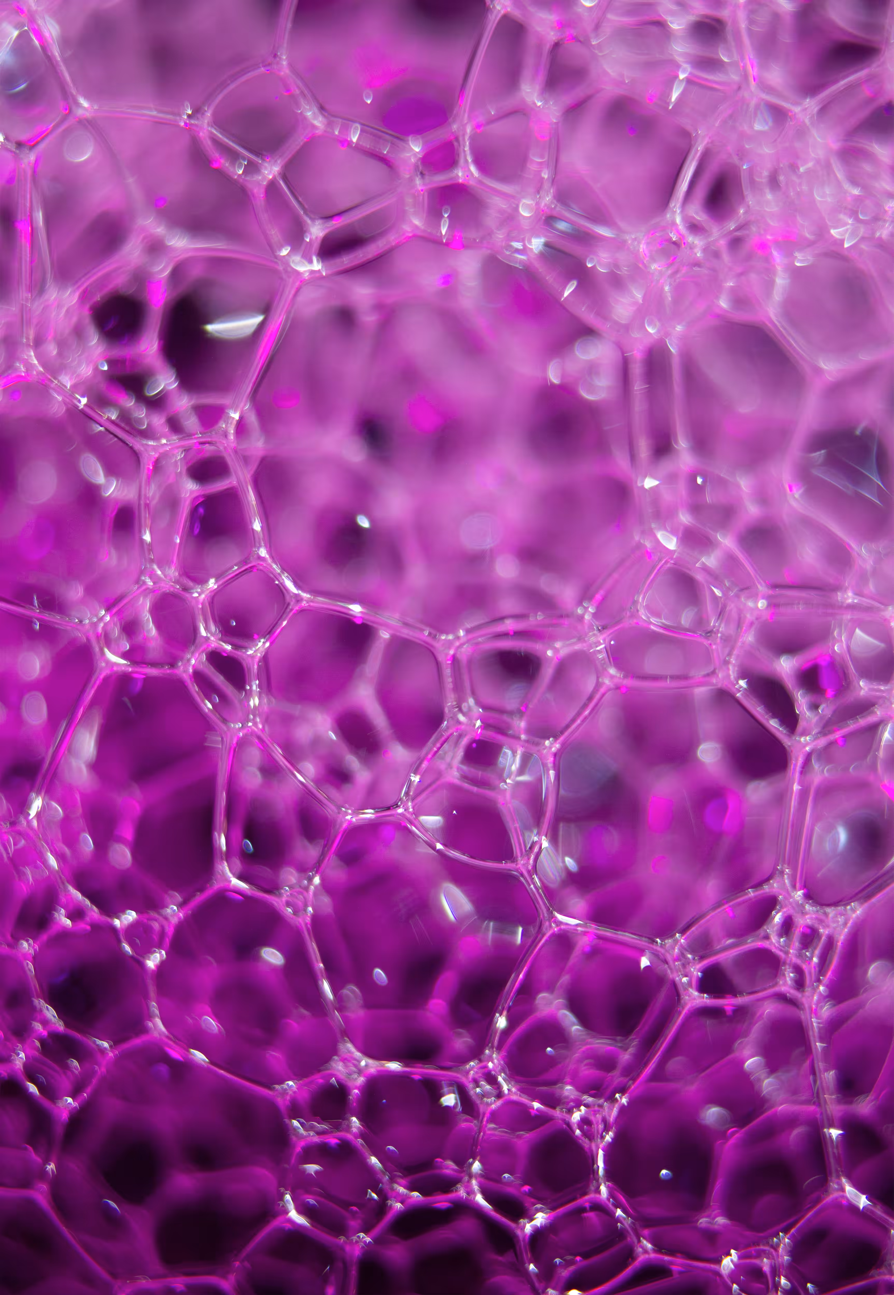 Abstract World of Soap Bubbles: #50 Bubbles
