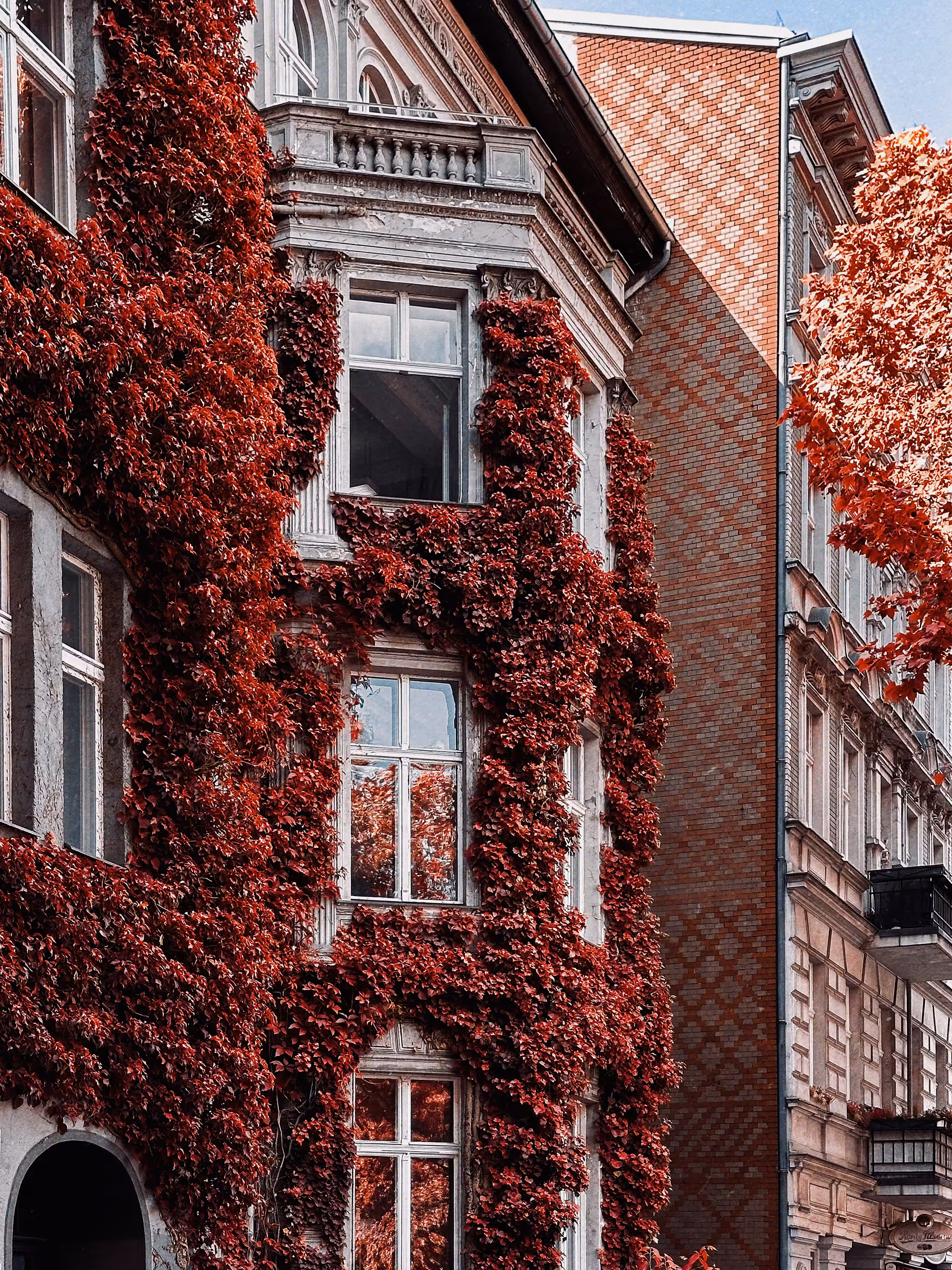 Autumn