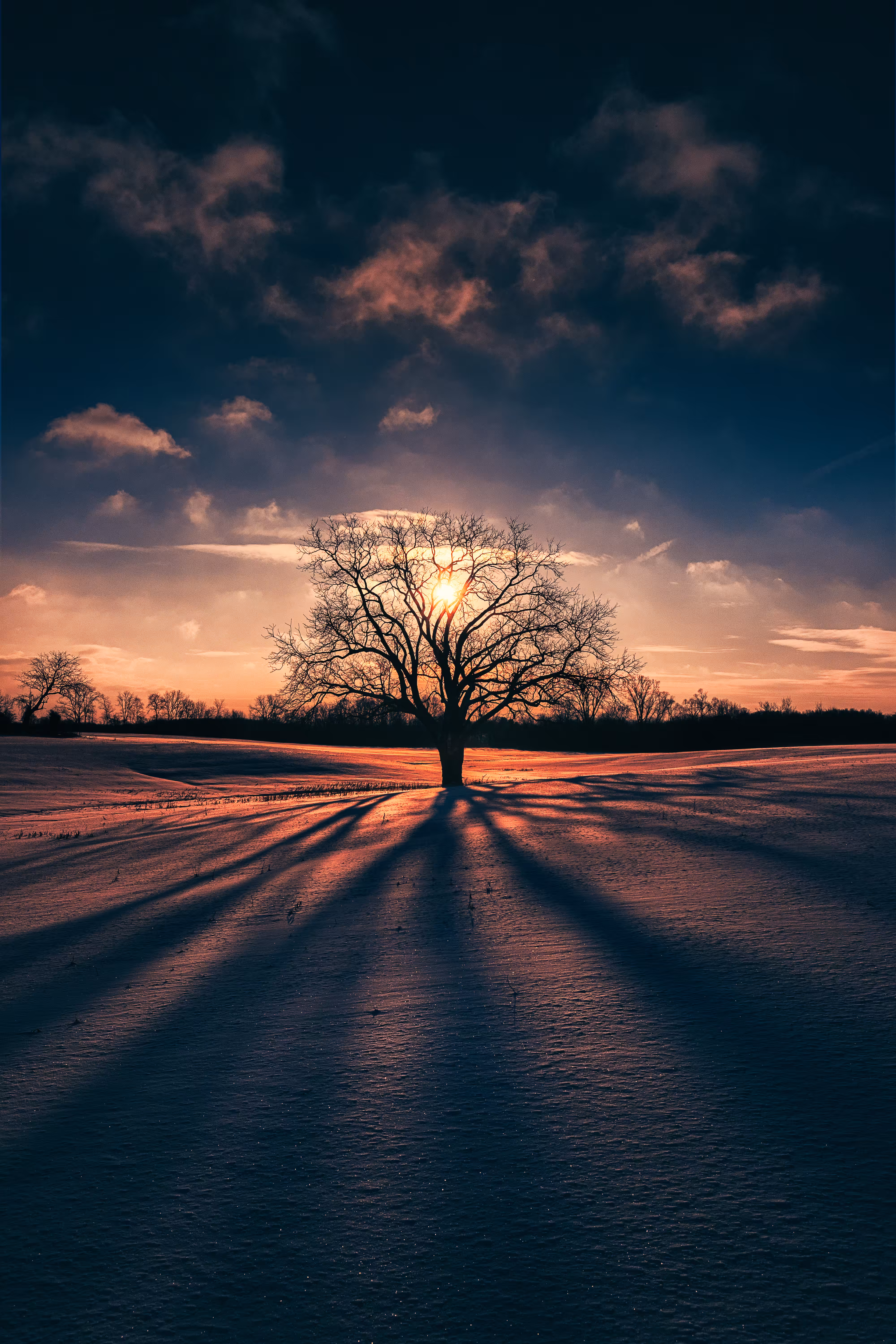Seasonal #83